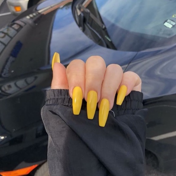 Meet your Posher, Hannie - Picture 1 of 1